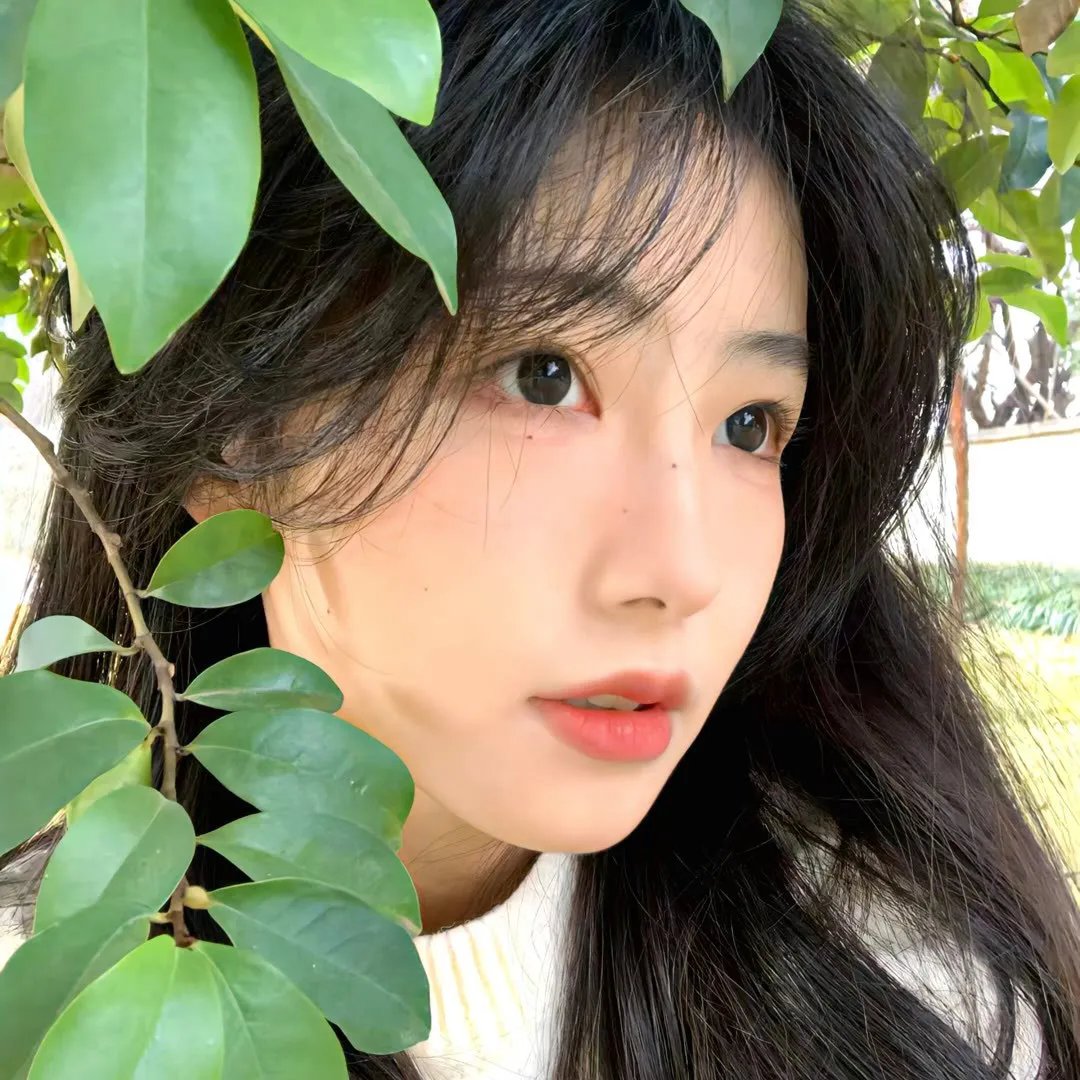 我的侄子是皇帝